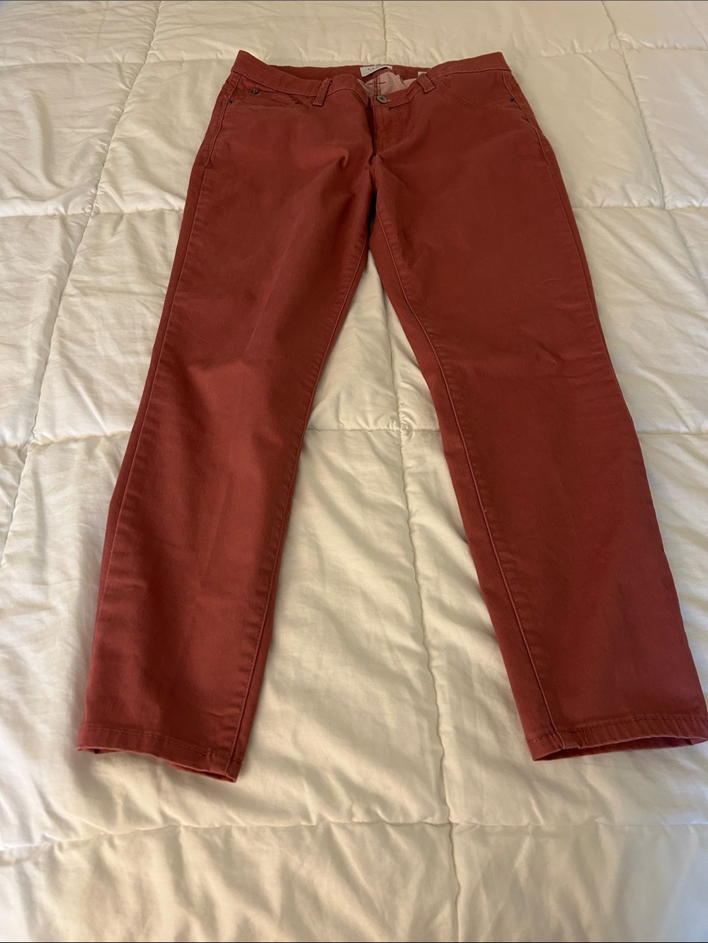 Straight Leg Women's Pants in Brick Red